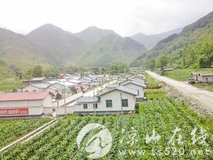 河坎村村支书眼中的河坎村.jpg