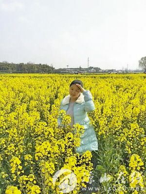 马湖油菜花.jpg