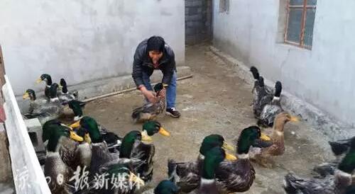 QQ截图20161214165846.jpg